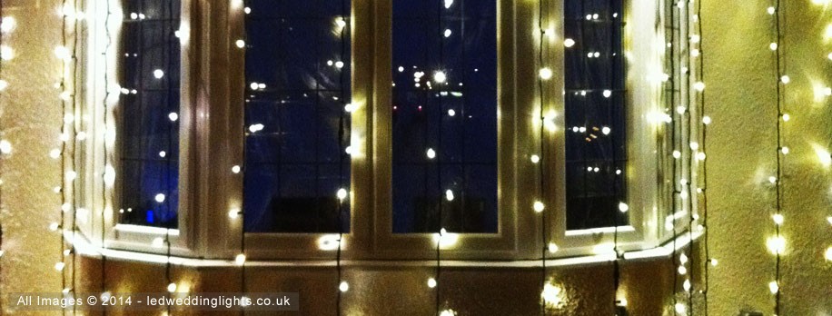 Warm White Lights