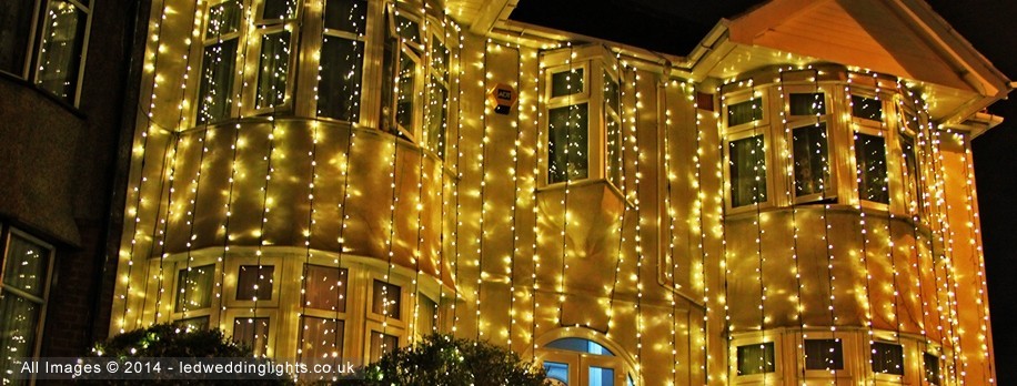 Warm White Lights